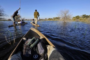 Botswana, Okavango Delta, Canoeing
